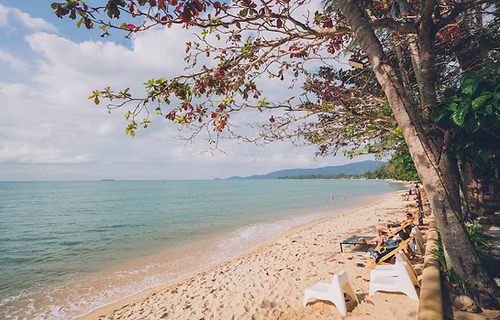 Koh Samui - Lipa Noi photo 5
