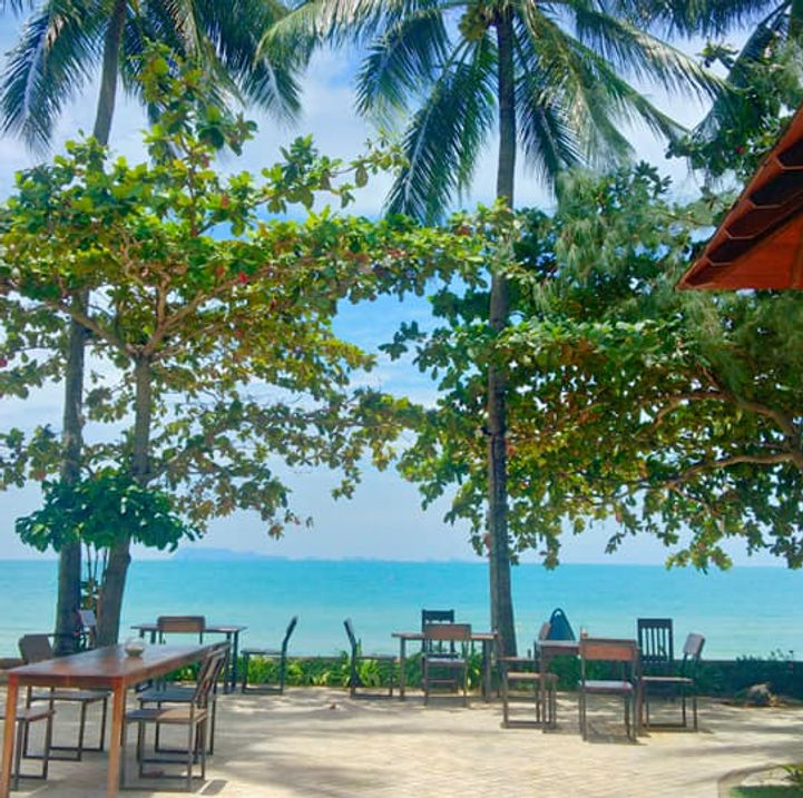 LIPA NOI photo 2